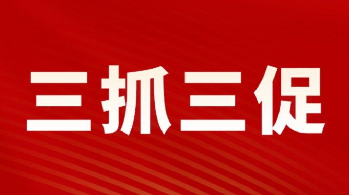 三抓三促进行时丨千亿球友会·(中国)官方网站集团召开重点项目调度会